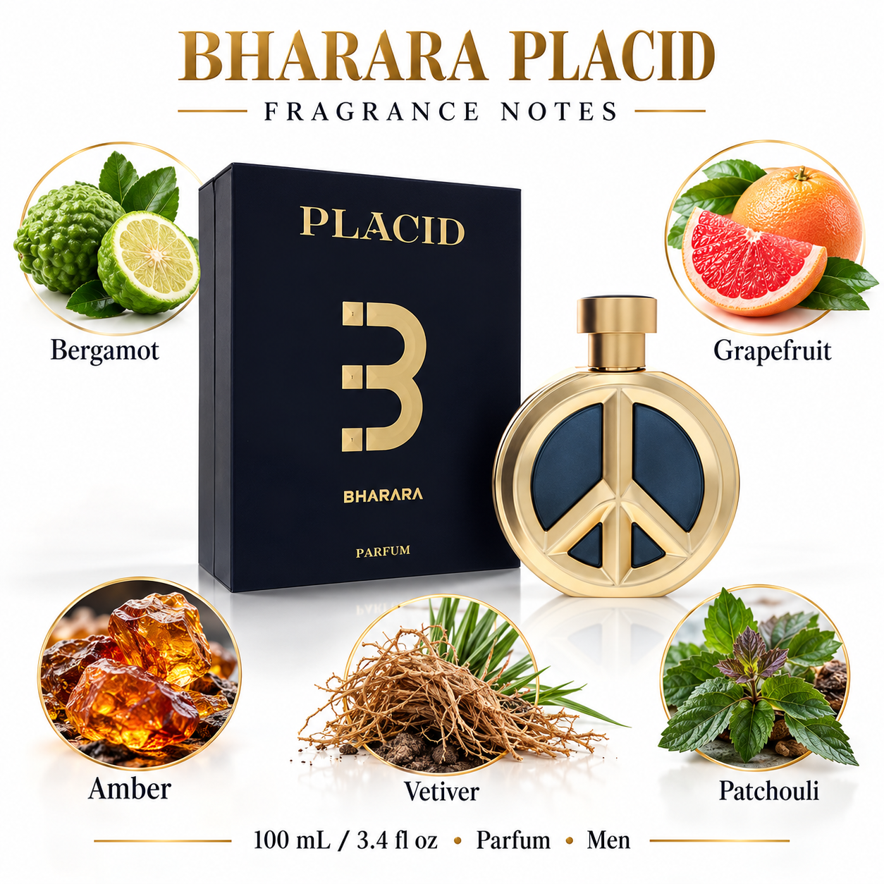 BHARARA PLACID — main