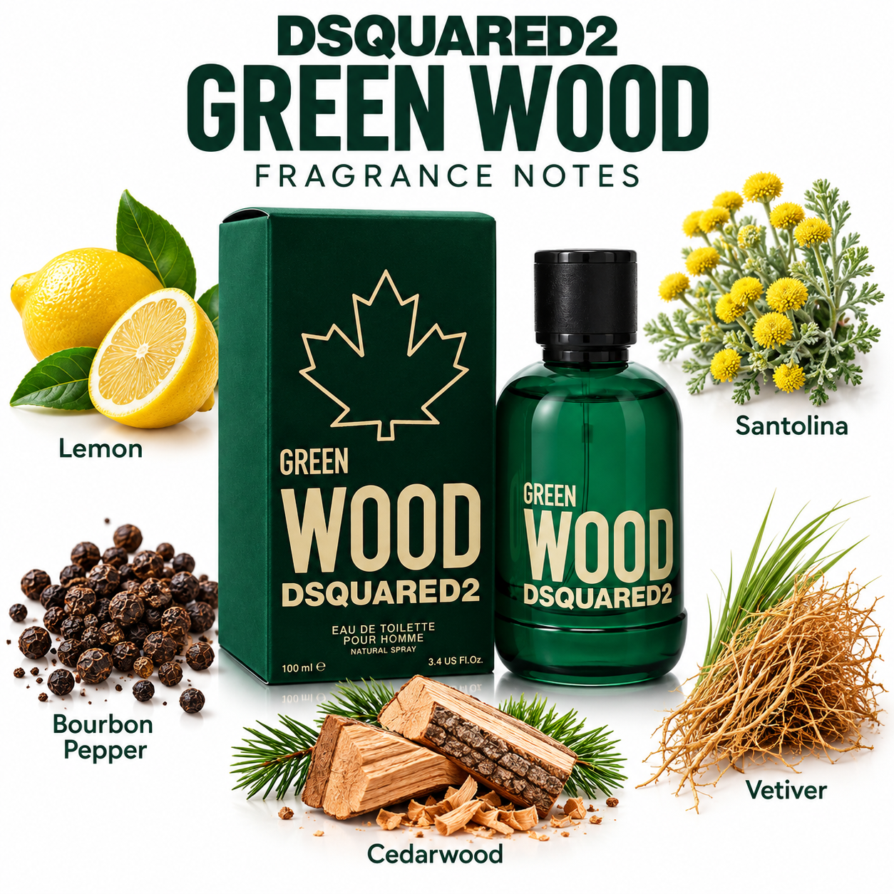 DSQUARED2 GREEN WOOD — main
