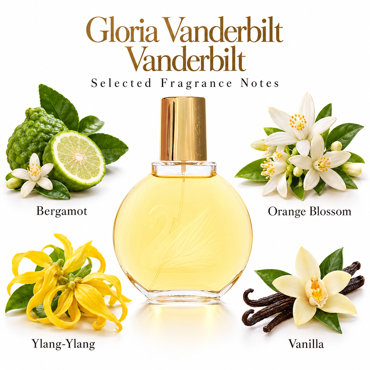 Vanderbilt by Gloria Vanderbilt 3.38 Oz Eau De Toilette Spray In Box for Women