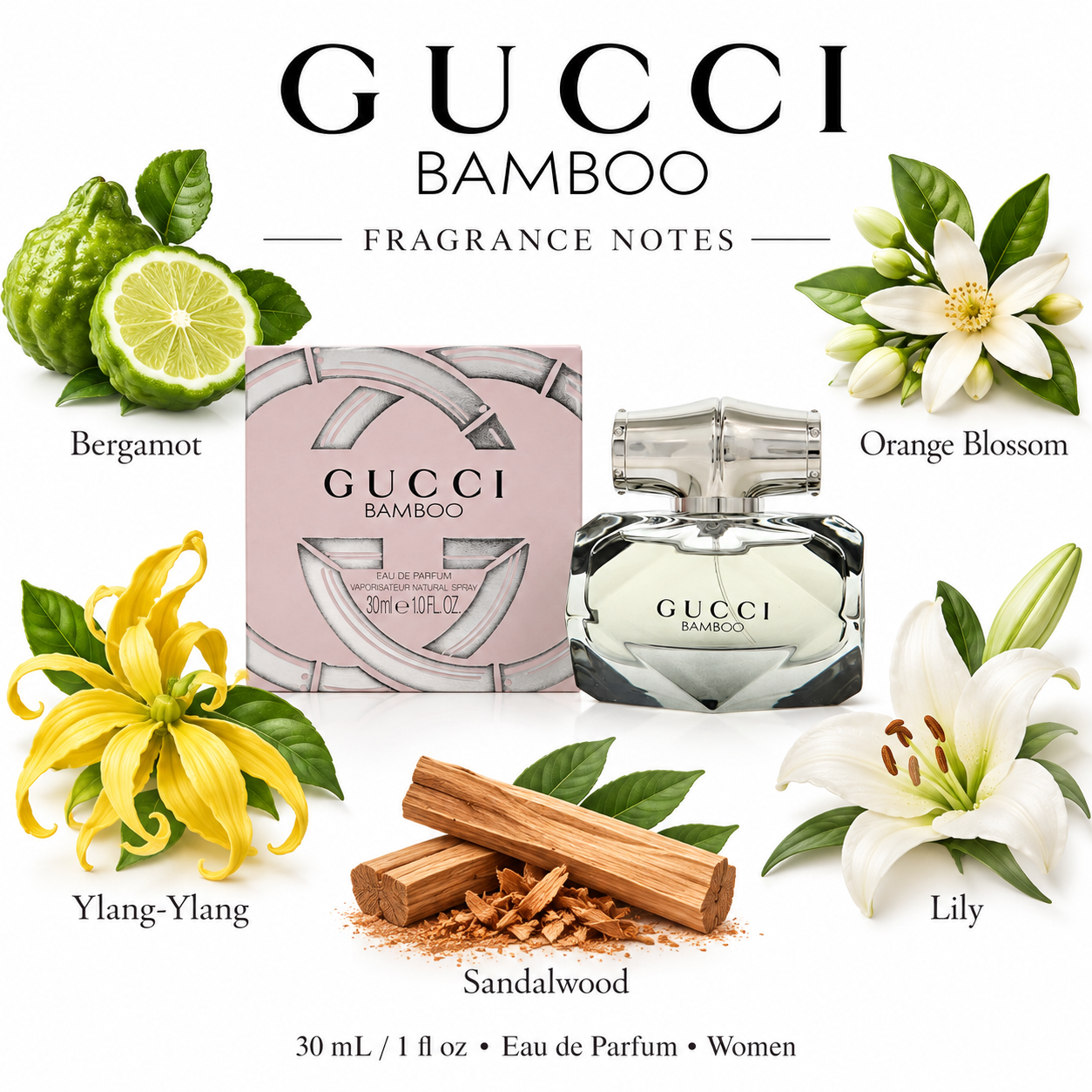 GUCCI BAMBOO - main