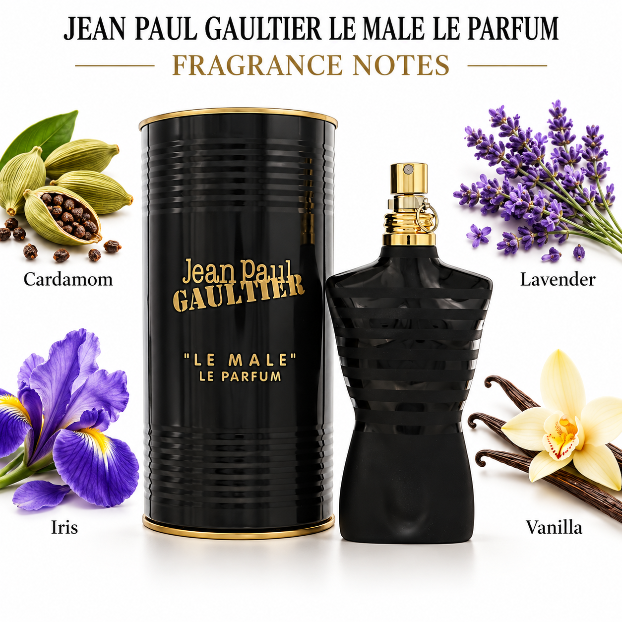 JEAN PAUL GAULTIER LE MALE LE PARFUM — main
