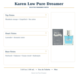 Pure Dreamer By Karen Low Cologne 3.4 Oz Edt Spray For Men - Box