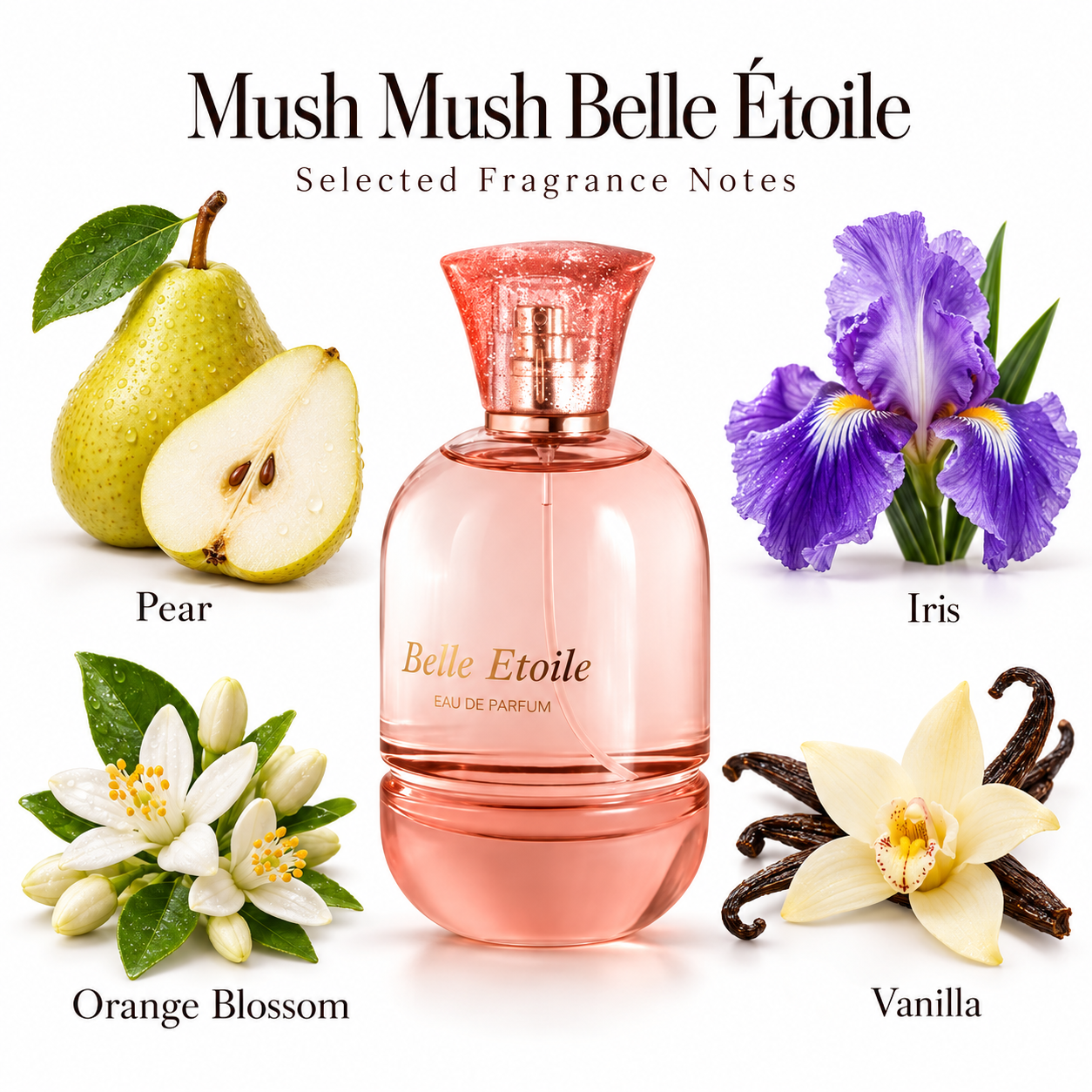 Mush Mush Belle Étoile — main product image