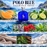 Polo Blue by Ralph Lauren 4.2 Oz Eau De Toilette for Men