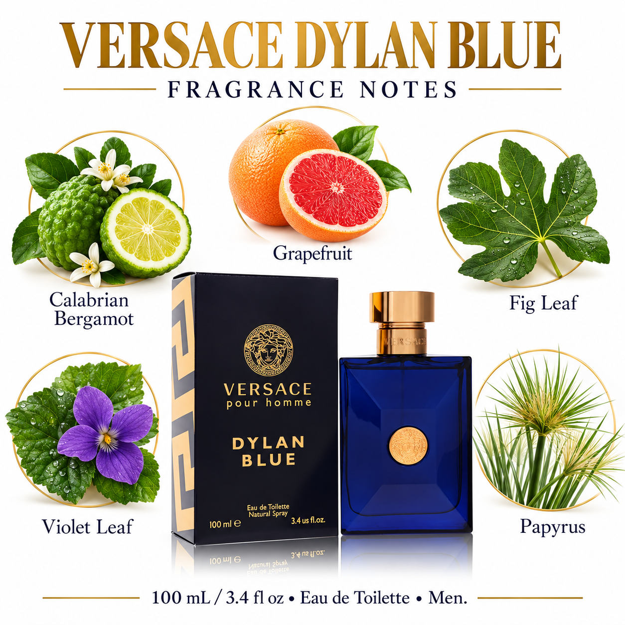 VERSACE DYLAN BLUE — main