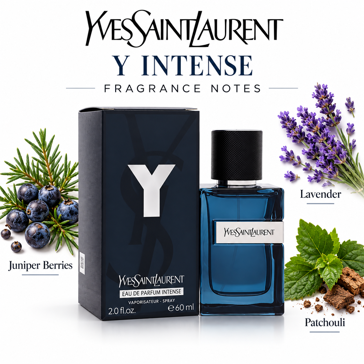 YVES SAINT LAURENT Y INTENSE — main